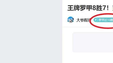 达曼联盟蓄势待发，布赖代协作能否燃情逆袭挑战巅峰？